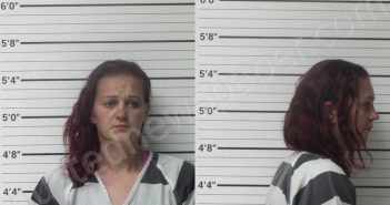 COLEMAN, CASSANDRA GAYLE | 2023-03-16 Kerr County, Texas Booking