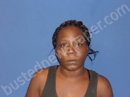 SMITH, SUSAN DARLENE #, Sampson County, North Carolina - 2023-03-17 19:25:00