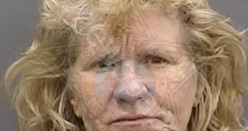 <B>TWEED</B>,<B>LORI</B> #, Hillsborough County, Florida - 2023-03-18 01:51:00