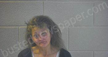 ATKINSON, MICHELLE R | 2023-03-20 13:12:00 Pulaski County, Kentucky Booking
