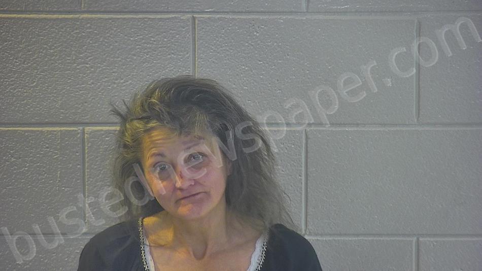 ATKINSON, MICHELLE R #, Pulaski County, Kentucky - 2023-03-20 13:12:00