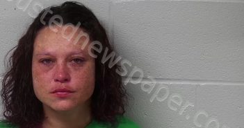 GORMAN, BRITTANY LYNN | 2023-03-20 11:52:27 Fayette County, Ohio Booking