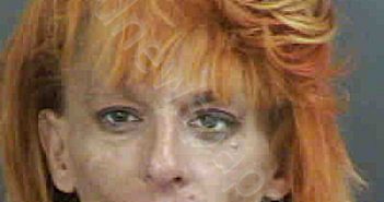 <B>VAUPEL</B>,<B>ALISON</B> <B>JEANNETTE</B> #, Collier County, Florida - 2023-03-20