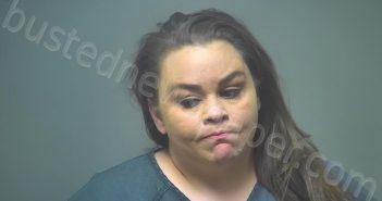 GROSS, HOLLIE ANN | 2023-03-21 12:15:00 Isabella County, Michigan Booking