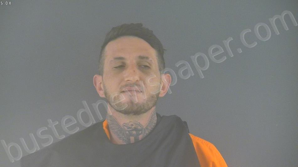 NELSON, TREVOR CHRISTOPHER #, Amherst County, Virginia - 2023-03-22 22:10:00