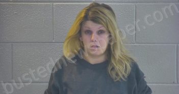 WILSON, JESSICA CRAWFORD | 2023-03-22 01:54:00 Pulaski County, Kentucky Booking
