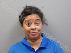 KIMBERLY SHANTEL BAKER | 2023-03-22 14:40:00 Chesterfield County, South Carolina Booking