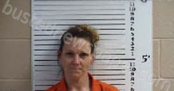 STILES, JILLIAN ASHLEY SLONE | 2023-03-22 05:20:00 Cherokee County, North Carolina Booking