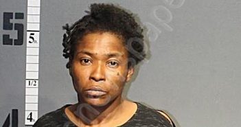 HAYES, SHAKEMA EVELYN | 2023-03-23 15:22:00 Western Tidewater, Virginia Booking