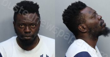 <B>LANE</B>, <B>DWAYNE</B> <B>TYRON</B> #, Miami-Dade County, Florida - 2023-03-23 23:24:00