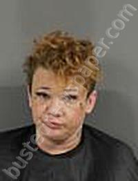 YON-FLEMING, LISA MARIE #, Anderson County, South Carolina - 2023-03-23