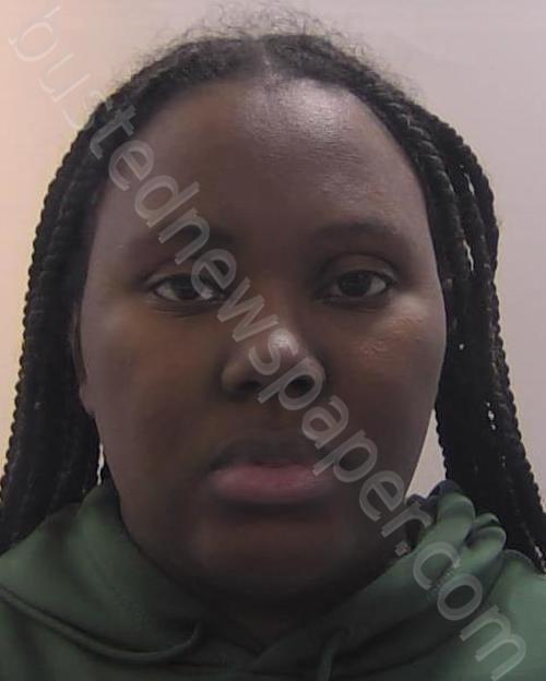 WHITFIELD, MICHELLE NICOLE #, Chesapeake, Virginia - 2023-03-24 19:15:00