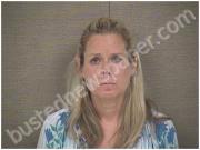 TAYLOR, BRANDY | 2023-03-25 Harnett County, North Carolina Booking