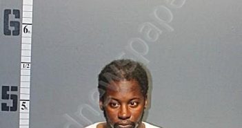 GREEN, ANDREW | 2023-03-26 20:48:00 Western Tidewater, Virginia Booking