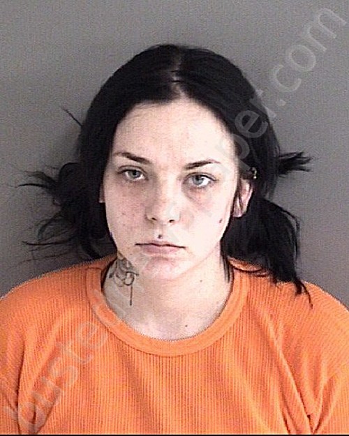 SCHUMANN, KATI LYNN #, Story County, Iowa - 2023-03-26