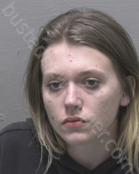 TEW, PEYTON BROOKE #, New Hanover County, North Carolina - 2023-03-27