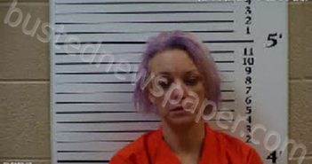 PHILLIPS, ANGELA MARIE | 2023-03-27 18:00:00 Cherokee County, North Carolina Booking