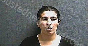 MICLESCU, LIVINIA | 2023-03-28 23:00:00 Boone County, Kentucky Booking