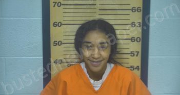 HADLEY, DESARAE MONIQUE | 2023-03-28 03:06:00 Ottawa County, Ohio Booking