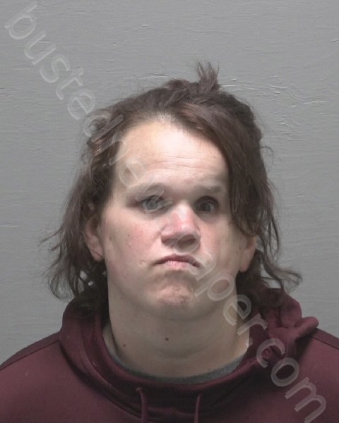 HOYLE, ASHLEY BROOKE #, New Hanover County, North Carolina - 2023-03-28