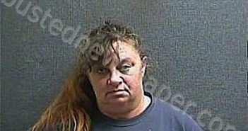 CHAPMAN, TERRI J | 2023-03-28 18:18:00 Boone County, Kentucky Booking