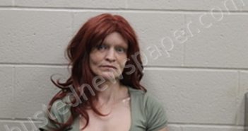 JESSICA MARIE RIGNEY | 2023-03-31 07:46:00 Andrew County, Missouri Booking