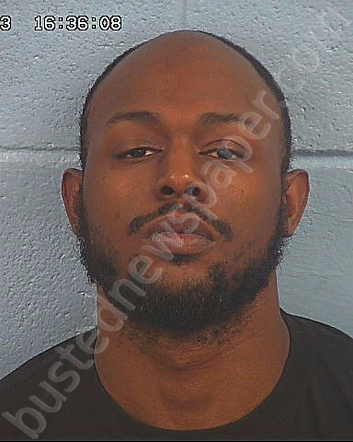 HUDSON, DELVIN JOSEPH #, Etowah County, Alabama - 2023-03-31 16:19:04