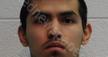 SALINAS, NATHANIEL ROCKY | 2023-04-01 13:53:00 Lander County, Nevada Booking