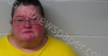 WELLS, MELYSSA M | 2023-04-02 12:40:51 Fayette County, Ohio Booking