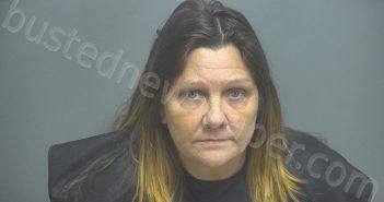 JOHNSON, CAROL BOWYER | 2023-04-03 02:55:00 Amherst County, Virginia Booking