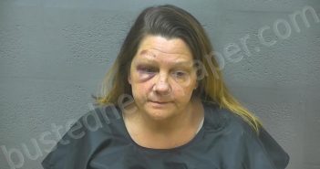 JOHNSON, CAROL BOWYER | 2023-04-03 02:55:00 Lynchburg, Virginia Booking