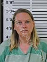 HASS, LEA MARIE #, Carter County, Tennessee - 2023-04-04