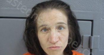 CLINE, JAIMIE LEA | 2023-04-06 01:45:00 Taylor County, West Virginia Booking