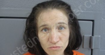 CLINE, JAMIE LEA | 2023-04-06 01:45:00 Taylor County, West Virginia Booking