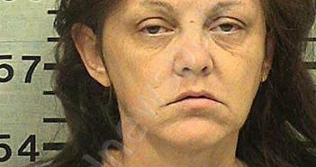 MCARTHUR, DIANE FRANCES | 2023-04-07 21:37:46 Hood County, Texas Booking