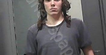 FOWLER, BRADLEY | 2023-04-08 11:33:00 Johnson County, Arkansas Booking