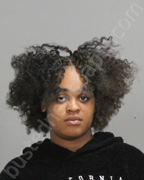 DRAKE-RHONE, QUIAHIVYON KQUDAEJHA-DAISH #, Brazos County, Texas - 2023-04-08