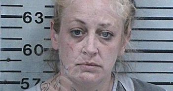 STENSON, ROBIN BETH | 2023-04-09 00:10:00 Hood County, Texas Booking