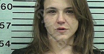 SMITH, SHAWNEE NICOLE | 2023-04-10 19:40:13 Hood County, Texas Booking