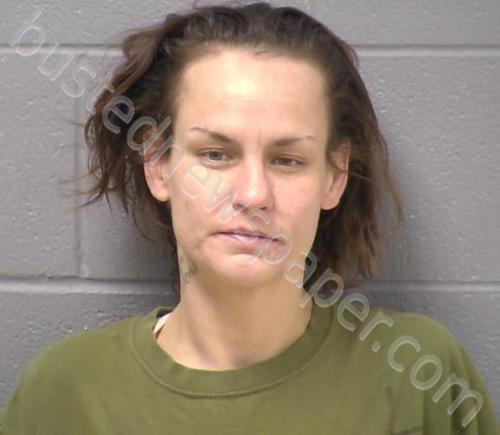 MOYERS, REBECCA L #, Will County, Illinois - 2023-04-11 11:51:00