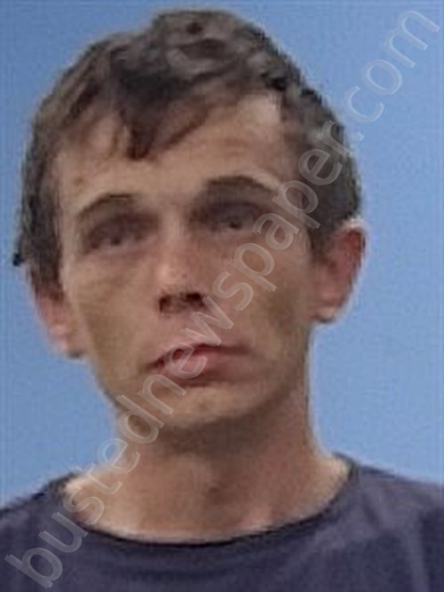 RIDDLE, NATHAN TYLER #, Boone County, Arkansas - 2023-04-11 22:18:00