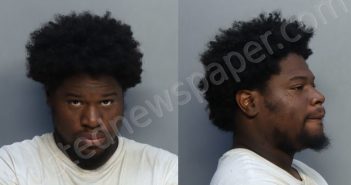 EDWARDS, TERRELL CORNELIUS | 2023-04-11 11:23:00 Miami-Dade County, Florida Booking