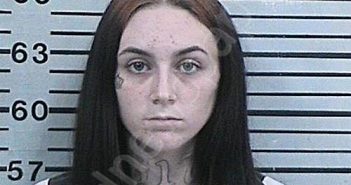 JOHNSON, BAILEY MARIE | 2023-04-11 19:48:26 Hood County, Texas Booking
