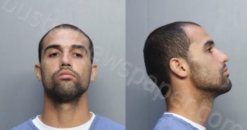 CASTRO, GENARO | 2023-04-11 11:05:00 Miami-Dade County, Florida Booking