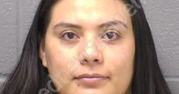 <B>GARCIA</B>–<B>GUERRERO</B>, <B>BRENDA</B> #, Will County, Illinois - 2023-04-11 13:55:00
