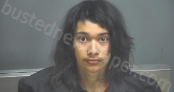 SEAGROVES, JOSHUA ARLON | 2023-04-12 18:57:00 Amherst County, Virginia Booking