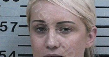 WHELAN, HEATHER RENE | 2023-04-12 16:04:04 Hood County, Texas Booking