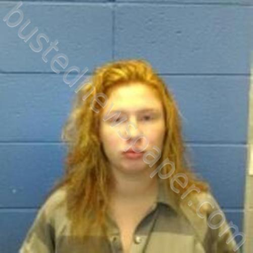 ANDREA CLAIRE SIMPSON #, Faulkner County, Arkansas - 2023-04-13 03:33:00