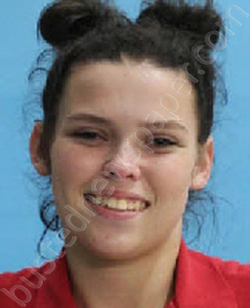 GROSS, BRIANNA LYNN #, Desoto County, Florida - 2023-04-14 11:00:00
