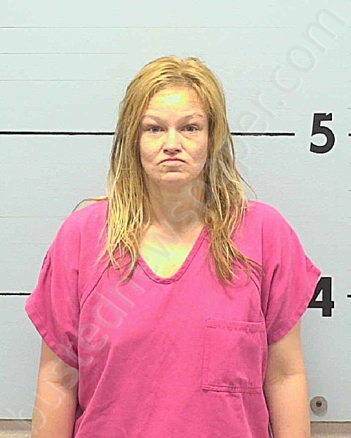 BOLLINGER, MEGHANN MCKINSEY #, Burke County, North Carolina - 2023-04-14 20:25:00